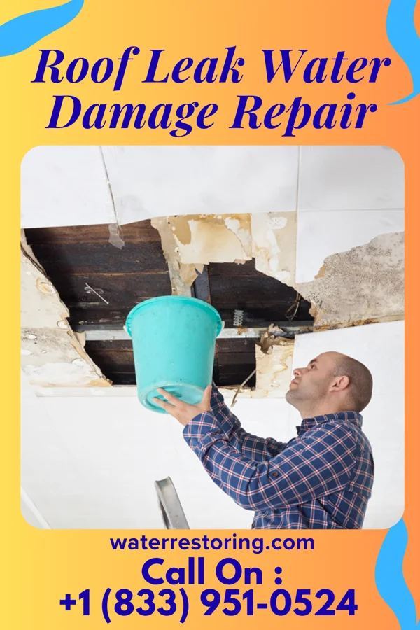 Roof Leak Water Damage Repair in Reading, KS