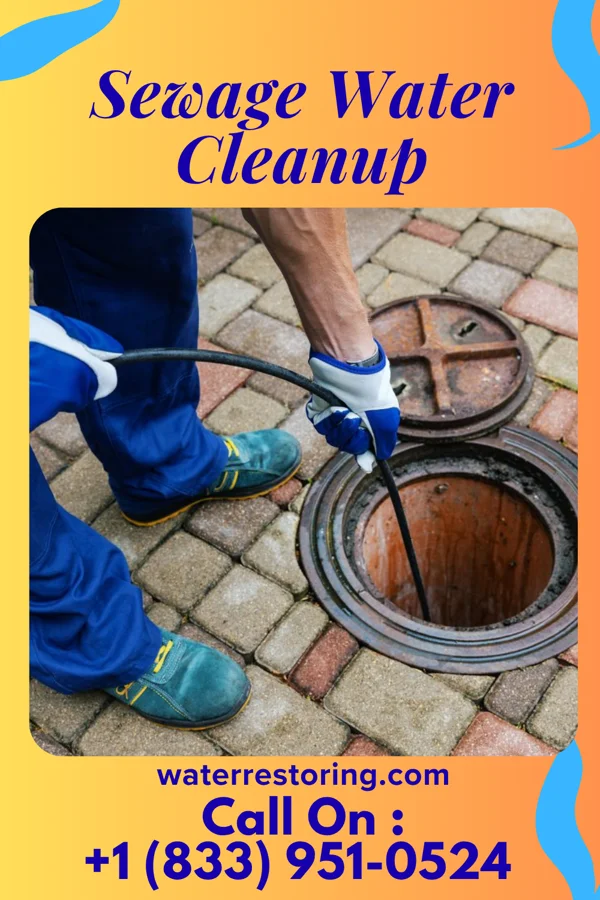 Sewage Water Cleanup in Reading, KS
